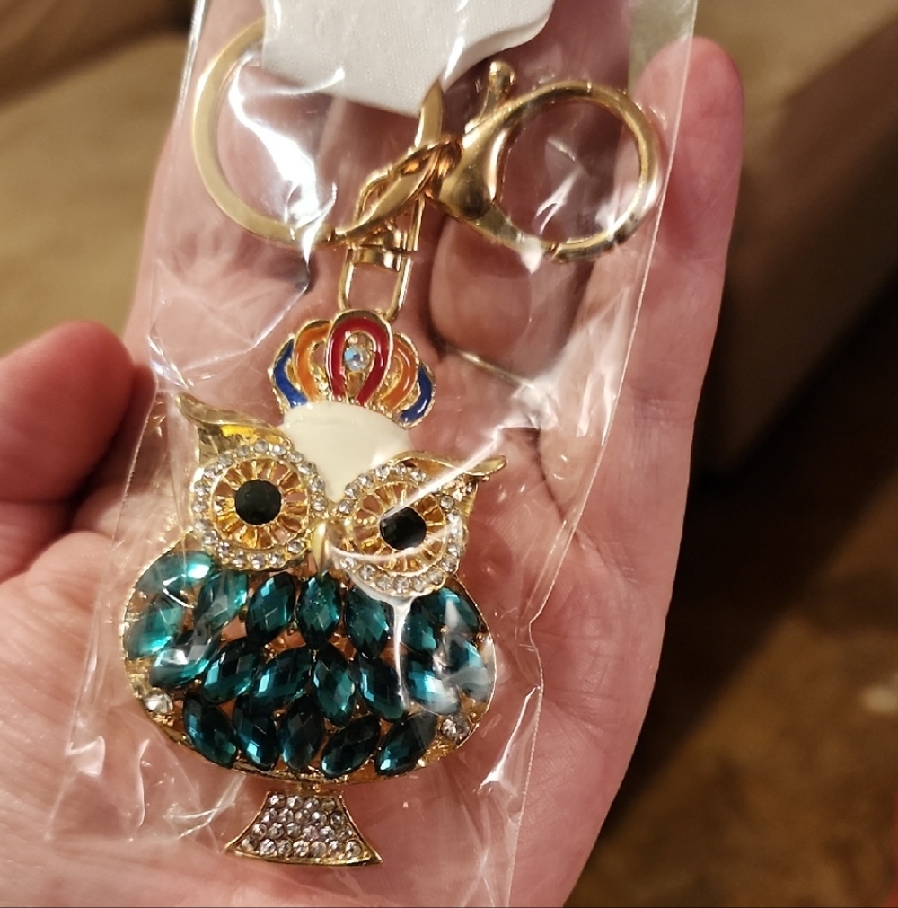 Gold Owl Keychain Card Holder with Teal Crystal Accent